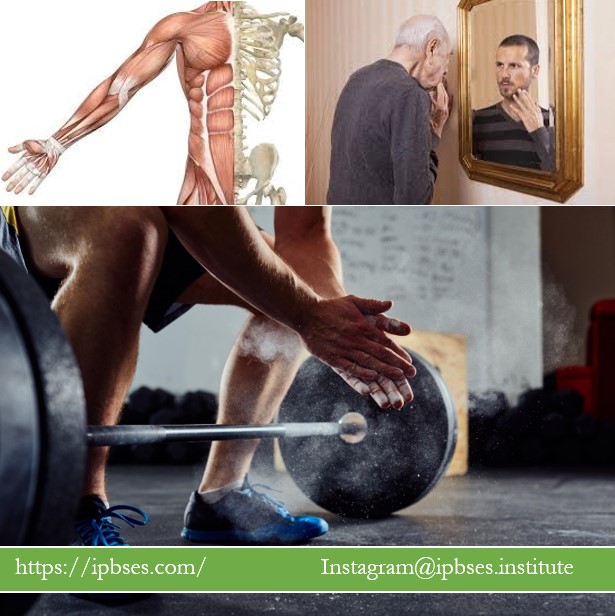 عضلات و استخوان‌ ها در فرآیند پیری چه نقشی دارند؟