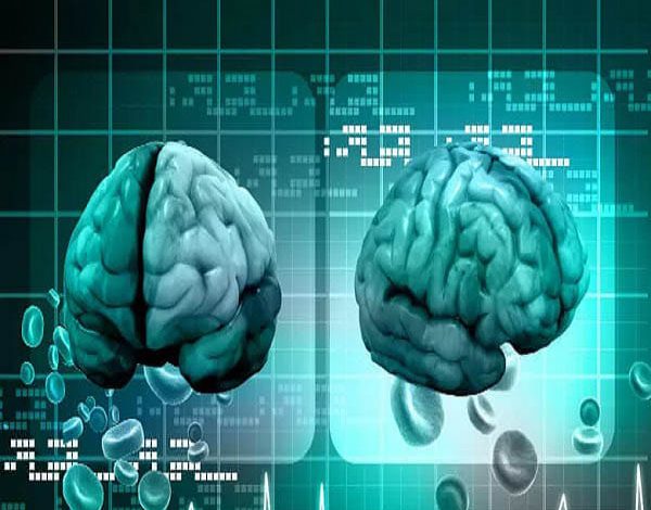 پردازش اطلاعات مغزی خودشیفتگی: عوامل شناختی و روانی