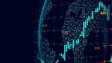 مدل ادراک ریسک در بازارهای مالی: نقش نوروساینس مالی و الگوهای پردازش هیجانی