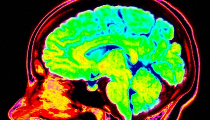 وزن مغز brain weight و میزان گیرنده های عصبی با MRI و PET 2022