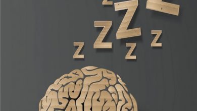 خواب و مغز sleep and brain