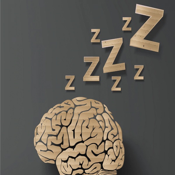 خواب و مغز sleep and brain: روان و جسم در 1 فاز